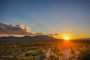 A35.  DISCOVER PEACE AND RECREATION ON THIS 11-ACRES TEXAS MINI RANCH, JUST $9,914/$199 PER MONTH.