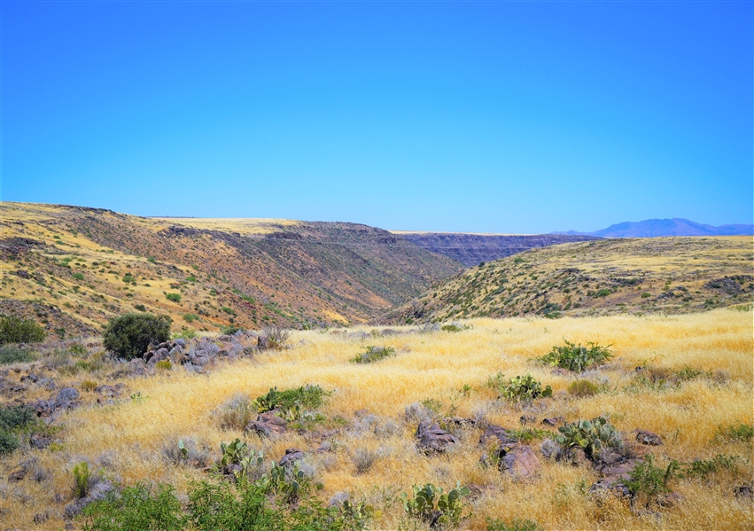 A33.  INVEST NOW IN THIS CHARMING 11-ACRES TEXAS MINI RANCH