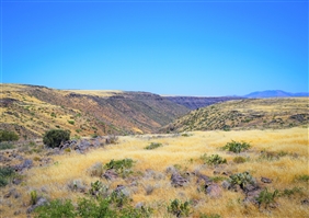 A33.  INVEST NOW IN THIS CHARMING 11-ACRES TEXAS MINI RANCH