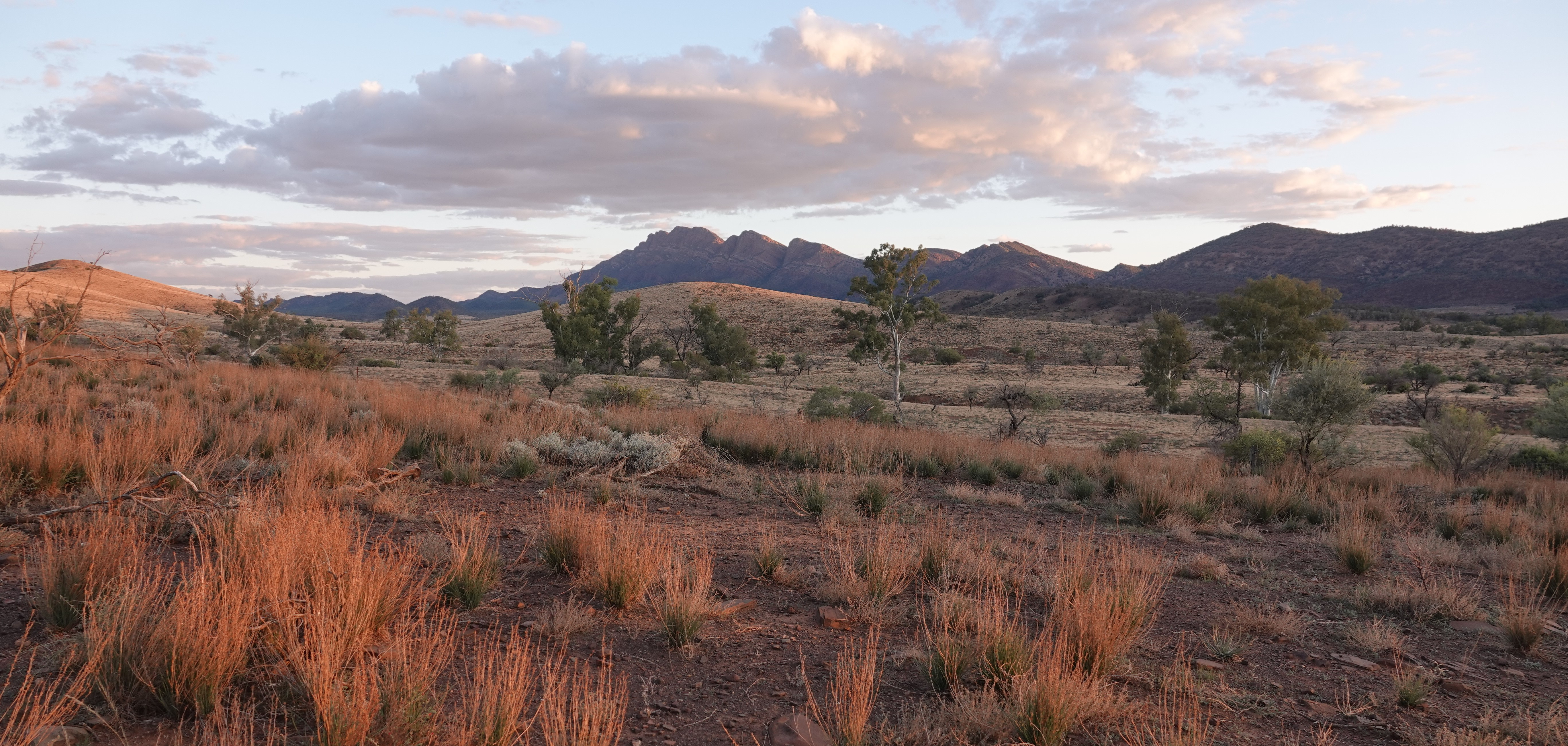 Hudspeth County