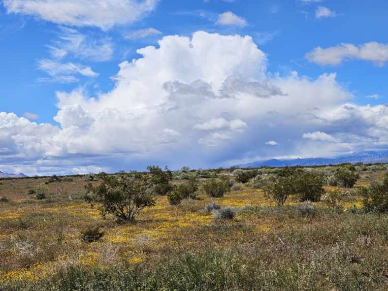 One Time Special Kern County, Southern California