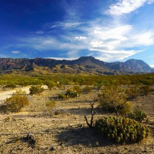 ORDERED AUCTION,11-ACRES TEXAS MINI RANCH. GREAT INVESTMENT!!! NO RESERVE! LARGE ACREAGE!!