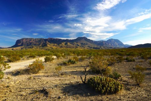 ORDERED AUCTION,11-ACRES TEXAS MINI RANCH. GREAT INVESTMENT!!! NO RESERVE! LARGE ACREAGE!!