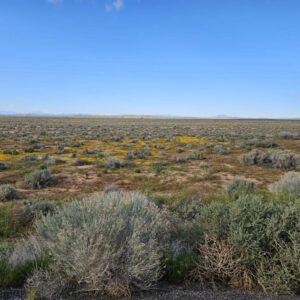 BID NOW!! LIVE AUCTION! LOCATED IN BOOMING CALIFORNIA CITY, THIS ATTRACTIVE LOT IS A FANTASTIC INVESTMENT OPPORTUNITY !