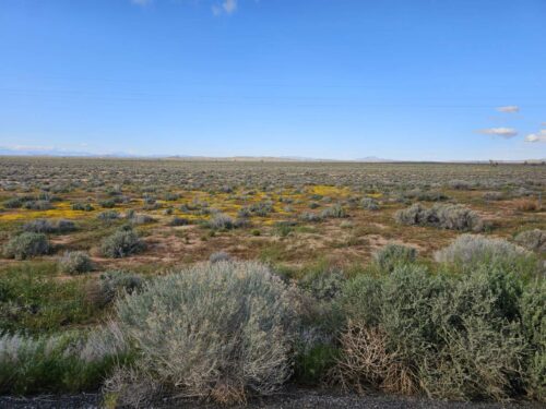 BID NOW!! LIVE AUCTION! LOCATED IN BOOMING CALIFORNIA CITY, THIS ATTRACTIVE LOT IS A FANTASTIC INVESTMENT OPPORTUNITY !