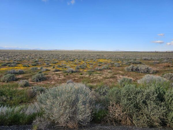 BID NOW!! LIVE AUCTION! LOCATED IN BOOMING CALIFORNIA CITY, THIS ATTRACTIVE LOT IS A FANTASTIC INVESTMENT OPPORTUNITY !
