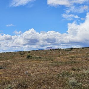 MUST GO! LOCATED IN BOOMING CALIFORNIA CITY, THIS ATTRACTIVE LOT IS A FANTASTIC INVESTMENT! BID NOW!