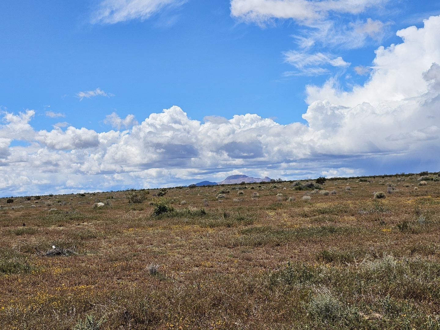 MUST GO! LOCATED IN BOOMING CALIFORNIA CITY, THIS ATTRACTIVE LOT IS A FANTASTIC INVESTMENT! BID NOW!