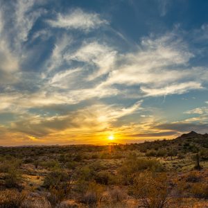 GOLDTOWN, CENTRALLY LOCATED LOT IN SOUTHERN CALIFORNIA! INVEST NOW AND BID NOW!