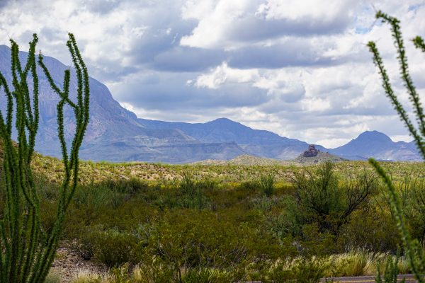RARE FIND: LARGE 2.12-ACRE PARCEL IN CALIFORNIA CITY, SOUTHERN CALIFORNIA LOCATED IN A GROWING AREA FOR JUST $99 PER MONTH.