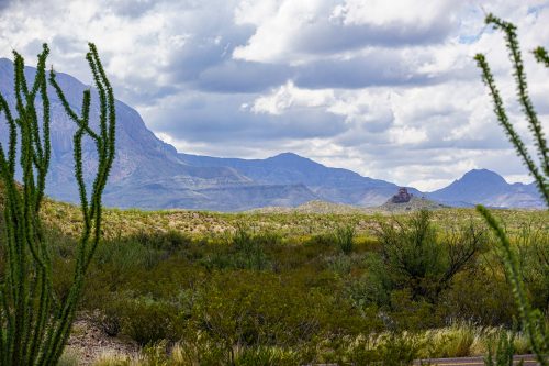 MUST GO! LOCATED IN BOOMING CALIFORNIA CITY, THIS ATTRACTIVE LOT IS A FANTASTIC INVESTMENT OPPORTUNITY!