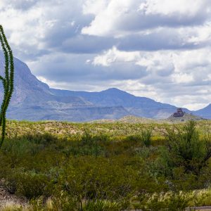 AUCTION! BID OR BUY NOW, INVEST NOW! HIDDEN GEM AWAITS, CENTRALLY LOCATED LOT IN SOUTHERN CALIFORNIA . SELLING AT NO RESERVE!