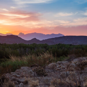 AUCTION FORECLOSURE! BID NOW AND INVEST NOW IN THIS CHARMING 11-ACRES TEXAS MINI RANCH!