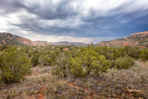 START YOU TEXAS LAND INVESTMENTS WITH THIS 11-ACRE OPPORTUNITY, JUST $9,775, $199/ MONTH!