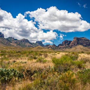 DISCOVER PEACE AND RECREATION ON THIS 11-ACRES TEXAS MINI RANCH! MUST GO!