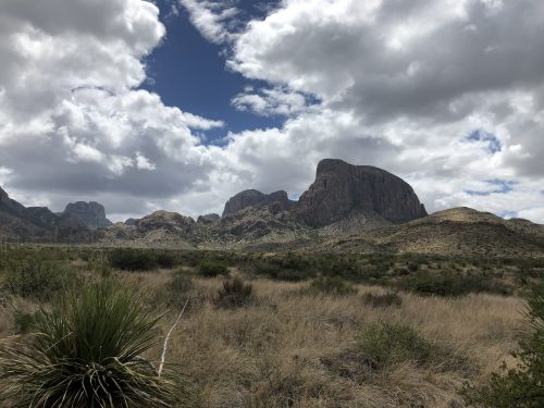 DISCOVER PEACE AND RECREATION ON THIS 11-ACRES TEXAS MINI RANCH, JUST $9,775 and $199/MONTH!