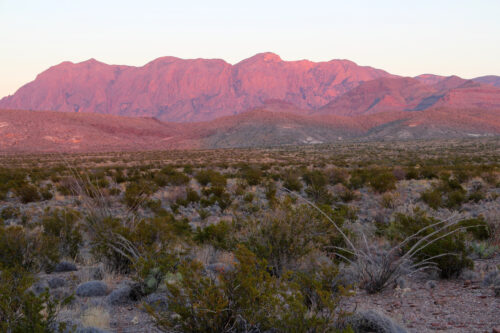 11 ACRE TEXAS RANCHETTE DREAM, ONLY $4,750 CASH! DONT MISS OUT!! 50% OFF BUY NOW!!