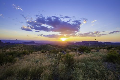 INVEST NOW IN THIS TEXAS 11-ACRES OPPORTUNITY! ONLY $199/ MONTH!