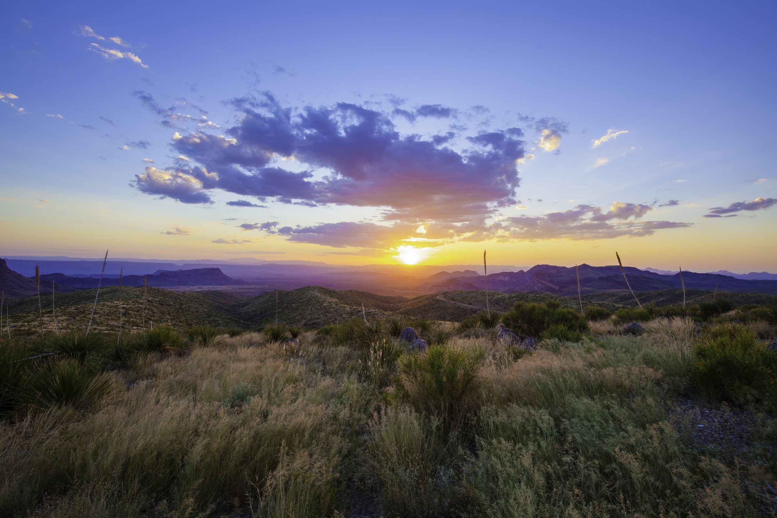 INVEST NOW IN THIS TEXAS 11-ACRES OPPORTUNITY! ONLY $199/ MONTH!