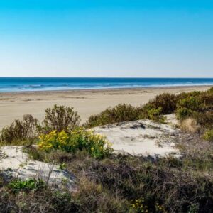 MUST GO! OCEAN-VIEW LOT AVAILABLE IN THE SCENIC MAGNOLIA BEACH, TEXAS! PERFECT OFF-GRID RETREAT!