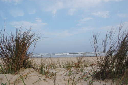 EXCEPTIONAL TEXAS PROPERTY ONLY MINUTES AWAY FROM THE BEACH $12,999/$199 A MONTH! RARE FIND! OCEAN VIEWS!