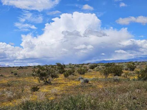 GOLDTOWN, CENTRALLY LOCATED LOT IN SOUTHERN CALIFORNIA – INVEST NOW FOR JUST $99 PER MONTH!