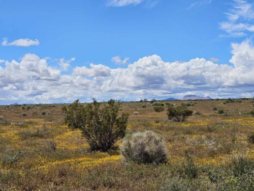 MAKE OFFER!!! RARE FIND: LARGE 2.5-ACRE PARCEL IN CALIFORNIA CITY, SOUTHERN CALIFORNIA LOCATED IN A GROWING AREA FOR JUST $199 PER MONTH.