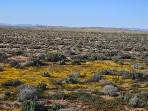 MUST GO! RARE FIND: 4 ADJOINING PARCELS IN SOUTHERN CALIFORNIA – INVEST NOW JUST $3,900/$99 PER MONTH!