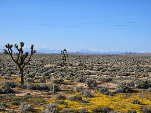 AQUEDUCT CITY, SOUTHERN CALIFORNIA – 3 PARCELS ARE BUNDLED INTO ONE LARGE PROPERTY. INVEST NOW FOR JUST $3,375/$99 PER MONTH!