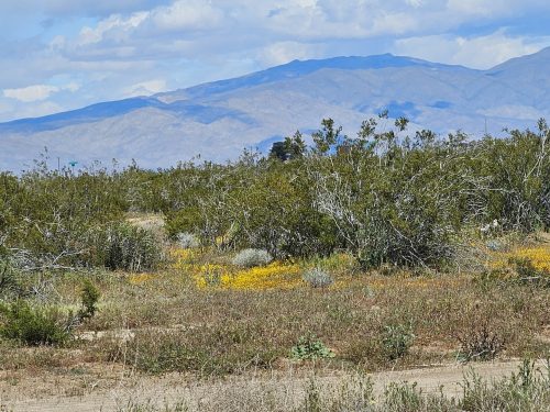 RARE LARGE2.5-ACRE PARCEL IN CALIFORNIA CITY, SOUTHERN CALIFORNIA LOCATED IN A GROWING AREA FOR JUST $199 PER MONTH.