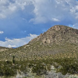 BID OR BUY NOW! LOCATED IN BOOMING CALIFORNIA CITY, THIS ATTRACTIVE LOT IS A FANTASTIC INVESTMENT OPPORTUNITY! ONLY $199/MONTH!