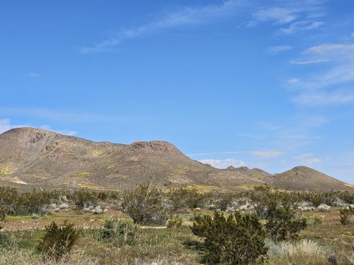 LOCATED IN BOOMING CALIFORNIA CITY, THIS ATTRACTIVE LOT IS A FANTASTIC INVESTMENT OPPORTUNITY AT JUST $3,950/$99 PER MONTH!