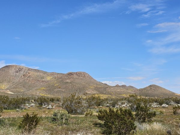 LOCATED IN BOOMING CALIFORNIA CITY, THIS ATTRACTIVE LOT IS A FANTASTIC INVESTMENT OPPORTUNITY AT JUST $3,950/$99 PER MONTH!