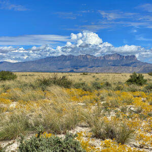 BID NOW!! 11 ACRES IN TEXAS FOR OFF-GRID LIVING, ROAD EASEMENTS, AND RECREATION! MUST GO!