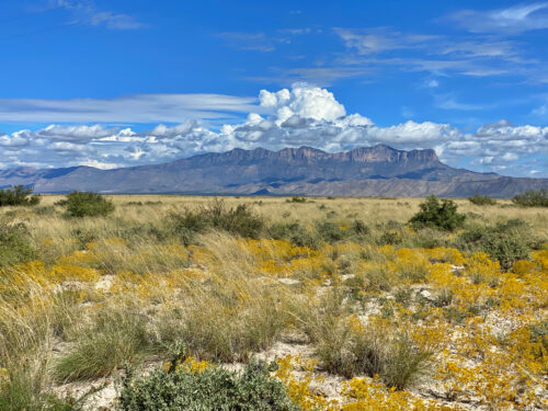 BID NOW!! 11 ACRES IN TEXAS FOR OFF-GRID LIVING, ROAD EASEMENTS, AND RECREATION! MUST GO!