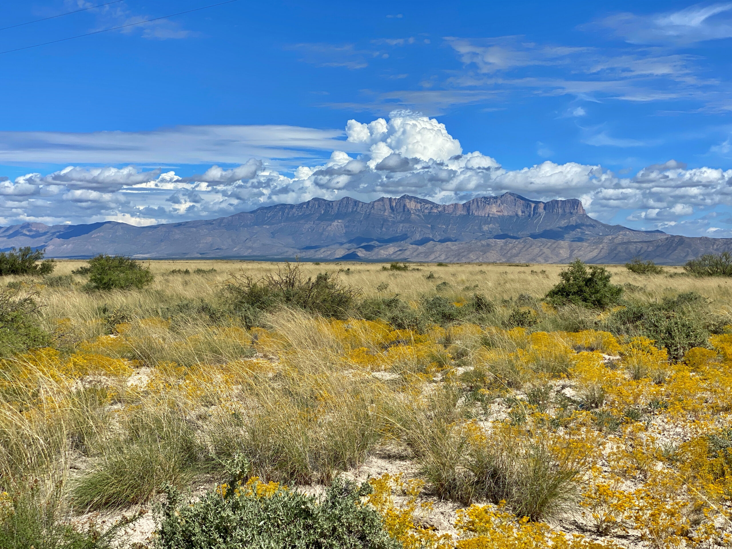 BID NOW!! 11 ACRES IN TEXAS FOR OFF-GRID LIVING, ROAD EASEMENTS, AND RECREATION! MUST GO!