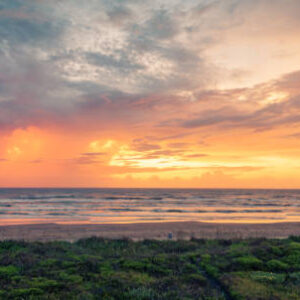 MUST GO!! OCEAN-VIEW LOT AVAILABLE IN THE SCENIC MAGNOLIA BEACH, TEXAS! BID OR BUY NOW!