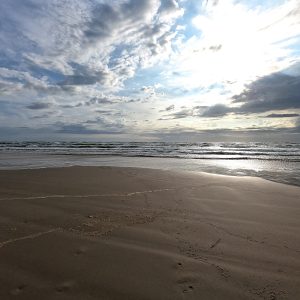 BID NOW!! FANTASTIC INVESTMENT OPPORTUNITY! LOVELY TEXAS LOT JUST MOMENTS FROM THE BEACH IN MAGNOLIA!