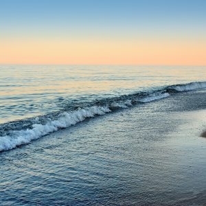 MUST GO!! OCEAN-VIEW LOT AVAILABLE IN THE SCENIC MAGNOLIA BEACH, TEXAS! BID OR BUY NOW!