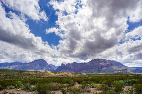 PRIME OFF-GRID INVESTMENT! SPECIAL 22ac GORGEOUS TEXAS RANCHETTE ONLY $18,995/$199month! Hiking, camping, hunting, and recreational activities!