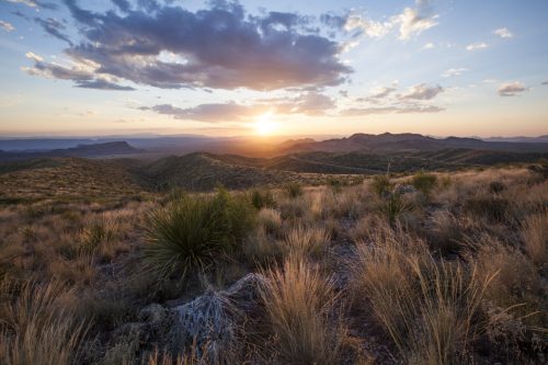 $199/month! MUST GO!! SPECIAL 22ac GORGEOUS TEXAS RANCHETTE! GREAT INVESTMENT!