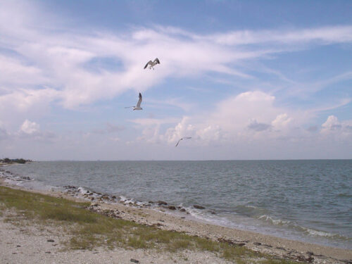 GREAT CHANCE AWAITS! OCEANFRONT PROPERTY ON MAGNOLIA BEACH, TEXAS. RVS, CAMPING, FISHING, AND MUCH MORE! GREAT INVESTMENT OPPORTUNITY!