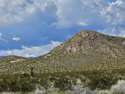 LOCATED IN BOOMING CALIFORNIA CITY, THIS ATTRACTIVE LOT IS A FANTASTIC INVESTMENT OPPORTUNITY! BID NOW!!