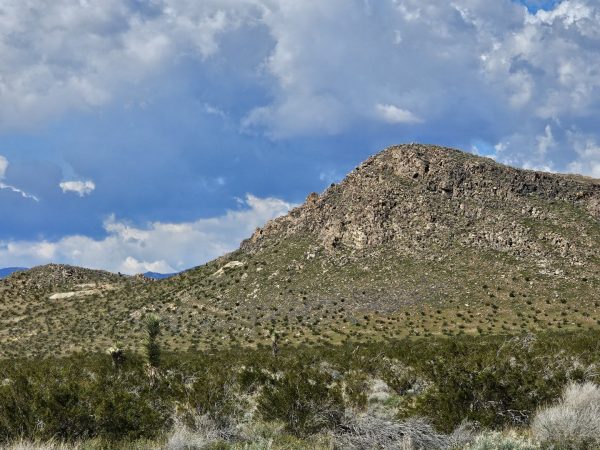 LOCATED IN BOOMING CALIFORNIA CITY, THIS ATTRACTIVE LOT IS A FANTASTIC INVESTMENT OPPORTUNITY! BID NOW!!