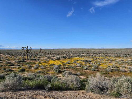 DONT MISS OUT!! CENTRALLY LOCATED LOT IN SOUTHERN CALIFORNIA?! ONLY $289 PER MONTH!