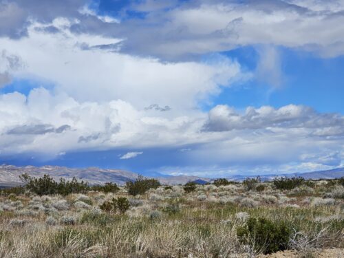 HIDDEN GEM AWAITS IN GOLDTOWN, SOUTHERN CALIFORNIA. 2 LOTS BUNDLED INTO ONE LARGE PROPERTY. AVAILABLE FOR JUST $5,970/ $229mo. GREAT INVESTMENT OPPORTUNITY!