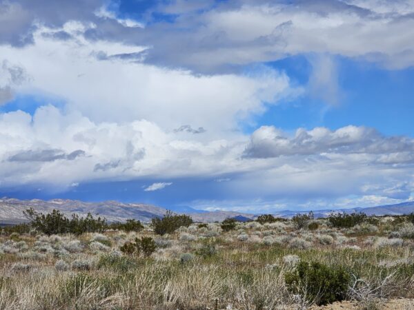 HIDDEN GEM AWAITS IN GOLDTOWN, SOUTHERN CALIFORNIA. 2 LOTS BUNDLED INTO ONE LARGE PROPERTY. AVAILABLE FOR JUST $5,970/ $229mo. GREAT INVESTMENT OPPORTUNITY!
