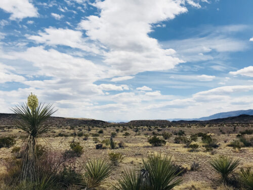 MAKE OFFER! TEXAS 11 ACRES OF SPACE, CLEAN AIR, AND NO CROWDS, JUST $5,999 CASH OR CREDIT CARD!