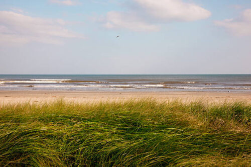 STUNNING PROPERTY JUST ONE LOT BACK FROM THE BEACH IN MAGNOLIA BEACH, TEXAS! $14,972 and $349 per month
