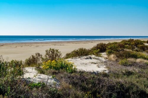 OCEAN-VIEW LOT AVAILABLE IN THE SCENIC MAGNOLIA BEACH, TEXAS, FOR JUST $199 PER MONTH! PERFECT OFF-GRID RETREAT!